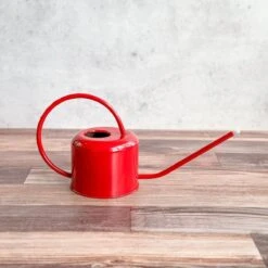 0.9 Liter- PLINT Stainless Steel Watering Can 19 0.9 Liter- PLINT Stainless Steel Watering Can -Ed's plant shop 09 liter plint stainless steel watering can 973270