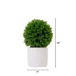 10-in Artificial Boxwood Topiary Plant With Decorative Planter 10 10-in Artificial Boxwood Topiary Plant With Decorative Planter -Ed's plant shop 10 artificial boxwood topiary plant with decorative planter 909787