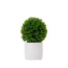 10-in Artificial Boxwood Topiary Plant With Decorative Planter -Ed's plant shop 10 artificial boxwood topiary plant with decorative planter 914286