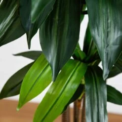 10-ft Artificial Dracaena Tree With Real Touch Leaves -Ed's plant shop 10 artificial dracaena tree with real touch leaves 292303