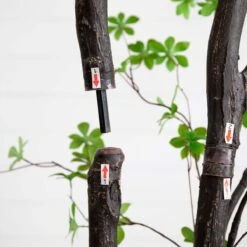 10-ft Artificial Minimalist Enkianthus Tree -Ed's plant shop 10 artificial minimalist enkianthus tree 873978