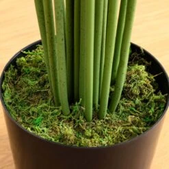 10-ft Artificial Paradise Palm Tree -Ed's plant shop 10 artificial paradise palm tree 131051