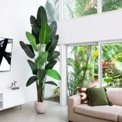 10-ft Artificial Travelers Palm Tree – Grand Tropical Statement -Ed's plant shop 10 artificial travelers palm tree grand tropical statement 228825