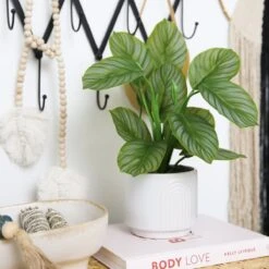 12-in Artificial Calathea Plant With Decorative Planter -Ed's plant shop 12 artificial calathea plant with decorative planter 677063