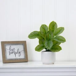 12-in Artificial Calathea Plant With Decorative Planter -Ed's plant shop 12 artificial calathea plant with decorative planter 744675