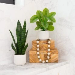 12-in Artificial Calathea Plant With Decorative Planter -Ed's plant shop 12 artificial calathea plant with decorative planter 958476