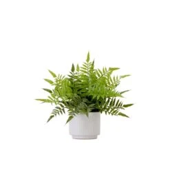 13-in Artificial Boston Fern Plant With Decorative Planter