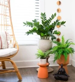 13-in Artificial Boston Fern Plant With Decorative Planter -Ed's plant shop 13 artificial boston fern plant with decorative planter 533411