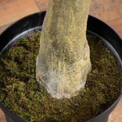 13-ft Faux Fiddle Leaf Fig Tree | Lifelike Indoor Tree -Ed's plant shop 13 faux fiddle leaf fig tree lifelike indoor tree 619775