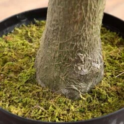 13-ft Giant Artificial Olive Tree 12 13-ft Giant Artificial Olive Tree -Ed's plant shop 13 giant artificial olive tree 147280