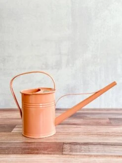 1.5 Liter-PLINT Watering Can With Long Reach Spout -Ed's plant shop 15 liter plint watering can with long reach spout 382863
