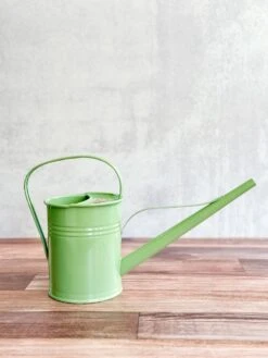 1.5 Liter-PLINT Watering Can With Long Reach Spout -Ed's plant shop 15 liter plint watering can with long reach spout 565881