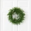 18-in Eucalyptus Double Ring Wreath W/Twig Base -Ed's plant shop 18 eucalyptus double ring wreath wtwig base 921272