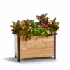 18" X 36" Cedar Planter Box – 24" Tall Raised Garden Bed