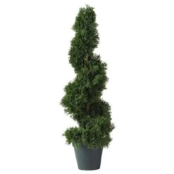 2-Ft Maintenance Free Spiral Cedar Topiary -Ed's plant shop 2 cedar spiral silk tree in doorout door 225235