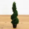 2-Ft Maintenance Free Spiral Cedar Topiary -Ed's plant shop 2 cedar spiral silk tree in doorout door 971034