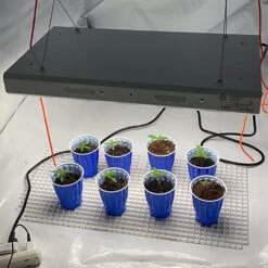 2' Plug & Play Grow Lamp – T5 HO Sun White Spectrum 14 2' Plug & Play Grow Lamp – T5 HO Sun White Spectrum -Ed's plant shop 2 plug play grow lamp t5 ho sun white spectrum 296970