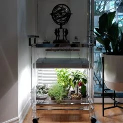 2' Plug & Play Grow Lamp – T5 HO Sun White Spectrum 12 2' Plug & Play Grow Lamp – T5 HO Sun White Spectrum -Ed's plant shop 2 plug play grow lamp t5 ho sun white spectrum 644111