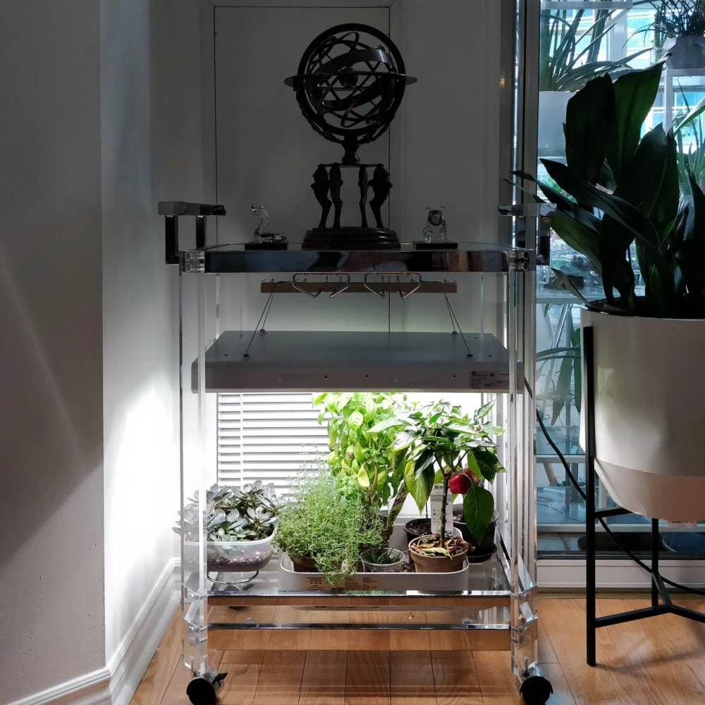 2' Plug & Play Grow Lamp – T5 HO Sun White Spectrum 5 2' Plug & Play Grow Lamp – T5 HO Sun White Spectrum - Image 3