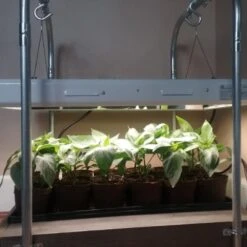 2' Plug & Play Grow Lamp – T5 HO Sun White Spectrum 13 2' Plug & Play Grow Lamp – T5 HO Sun White Spectrum -Ed's plant shop 2 plug play grow lamp t5 ho sun white spectrum 795899