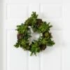 20-in Succulent Wreath | Timeless Elegance With Magnolia Blooms