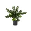 28-in Artificial ZZ Plant | Faux Zamioculcas For Effortless Indoor Greenery -Ed's plant shop 28 artificial zz plant faux zamioculcas for effortless indoor greenery 122262
