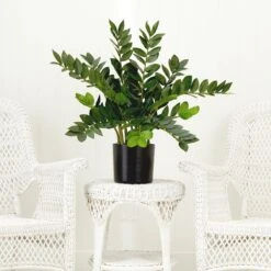 28-in Artificial ZZ Plant | Faux Zamioculcas For Effortless Indoor Greenery -Ed's plant shop 28 artificial zz plant faux zamioculcas for effortless indoor greenery 717731