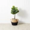 3-ft Artificial Fiddle Leaf Fig Tree With Handmade Cotton & Jute Woven Basket -Ed's plant shop 3 artificial fiddle leaf fig tree with handmade cotton jute woven basket diy kit 821930