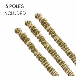 3 Pack Bendable Moss Pole™ THIN – Flexible Plant Support For Smaller Pots & Delicate Climbers -Ed's plant shop 3 pack bendable moss pole thin flexible plant support for smaller pots delicate climbers 3151721