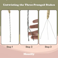 3 Pack Bendable Moss Pole™ THIN – Flexible Plant Support For Smaller Pots & Delicate Climbers -Ed's plant shop 3 pack bendable moss pole thin flexible plant support for smaller pots delicate climbers 7070233