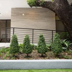 3-ft UV-Resistant Artificial Boxwood Topiary With Ground Stake – Set Of 2 -Ed's plant shop 3 uv resistant artificial boxwood topiary with ground stake set of 2 8455693