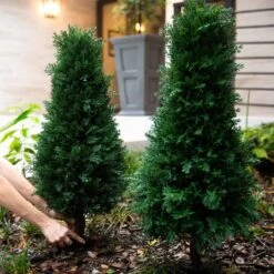 3-ft UV Resistant Artificial Cedar Plant With Integrated Ground Stake – Set Of 2 -Ed's plant shop 3 uv resistant artificial cedar plant with integrated ground stake set of 2 376217