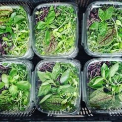 4' 8 Lamp LED Grow Light - T5 HO Sun White Pro Spectrum 14 4' 8 Lamp LED Grow Light - T5 HO Sun White Pro Spectrum -Ed's plant shop 4 8 lamp led grow light t5 ho sun white pro spectrum 901175