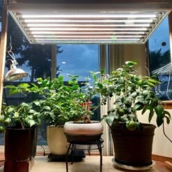 4' 8 Lamp LED Grow Light –T5 HO Sun White Spectrum -Ed's plant shop 4 8 lamp led grow light t5 ho sun white spectrum 416435