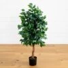 4-ft Ficus Auriculata Artificial Silk Tree – Lifelike Faux Tree With 504 Leaves -Ed's plant shop 4 ficus auriculata artificial silk tree lifelike faux tree with 504 leaves 786601