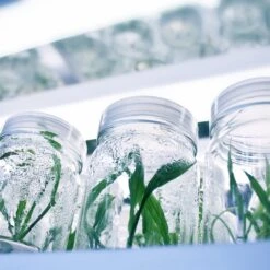 4' LED Grow Lamp – T8 HO Sun White Pro Spectrum -Ed's plant shop 4 led grow lamp t8 ho sun white pro spectrum 267612