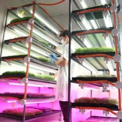 4' LED Grow Lamp – T8 HO Sun White Spectrum -Ed's plant shop 4 led grow lamp t8 ho sun white spectrum 298542