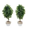 4.5-ft Artificial Ficus Tree With Double Trunk In Cotton & Jute Basket – DIY Kit (Set Of 2) -Ed's plant shop 45 artificial ficus tree with double trunk in cotton jute basket diy kit set of 2 406162