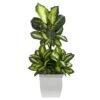 46-in Golden Dieffenbachia Artificial Plant In White Metal Planter -Ed's plant shop 46 golden dieffenbachia artificial plant in white metal planter 215311