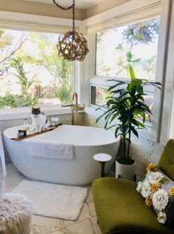 48-in Dracaena Silk Plant (Real Touch) -Ed's plant shop 48 in dracaena silk plant real touch 1477814