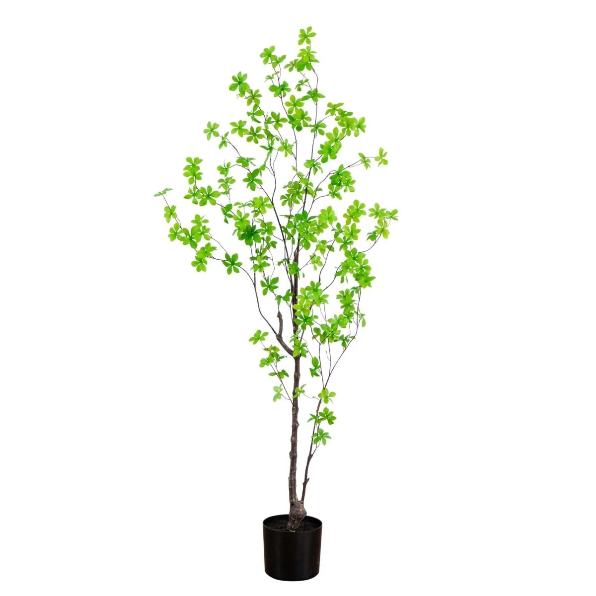 5-ft Artificial Minimalist Enkianthus Tree 8 5-ft Artificial Minimalist Enkianthus Tree - Image 6
