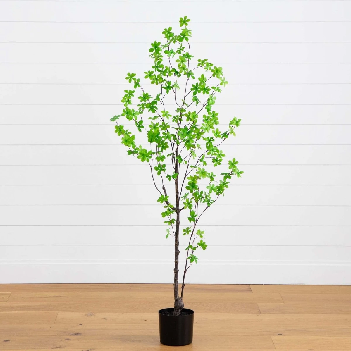 5-ft Artificial Minimalist Enkianthus Tree 3 5-ft Artificial Minimalist Enkianthus Tree