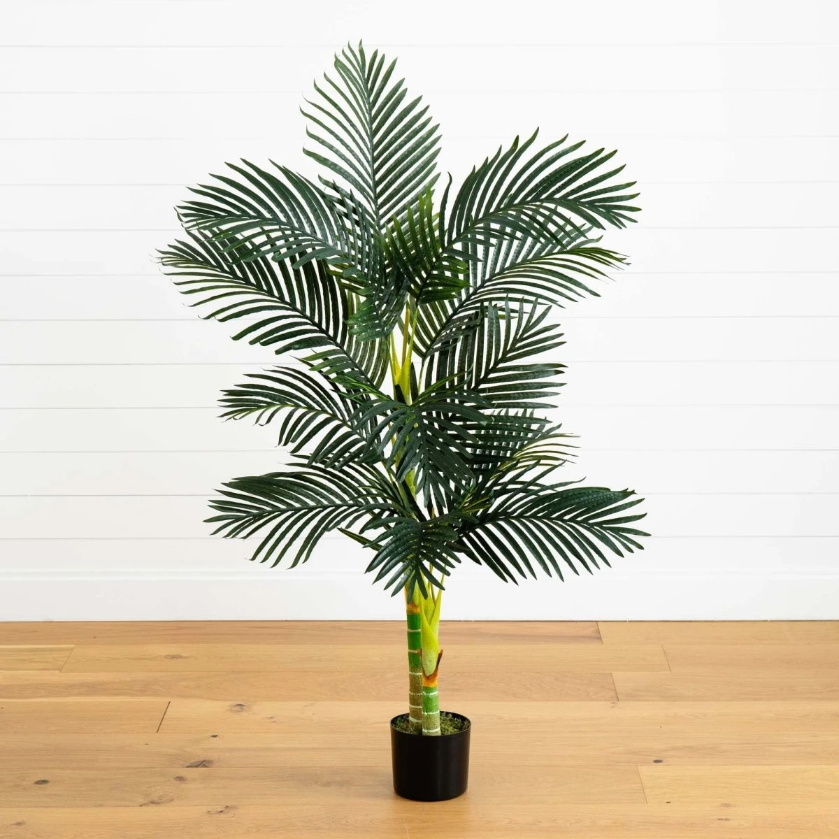 5-ft Golden Cane Artificial Palm Tree - Bring Paradise Indoors 3 5-ft Golden Cane Artificial Palm Tree - Bring Paradise Indoors