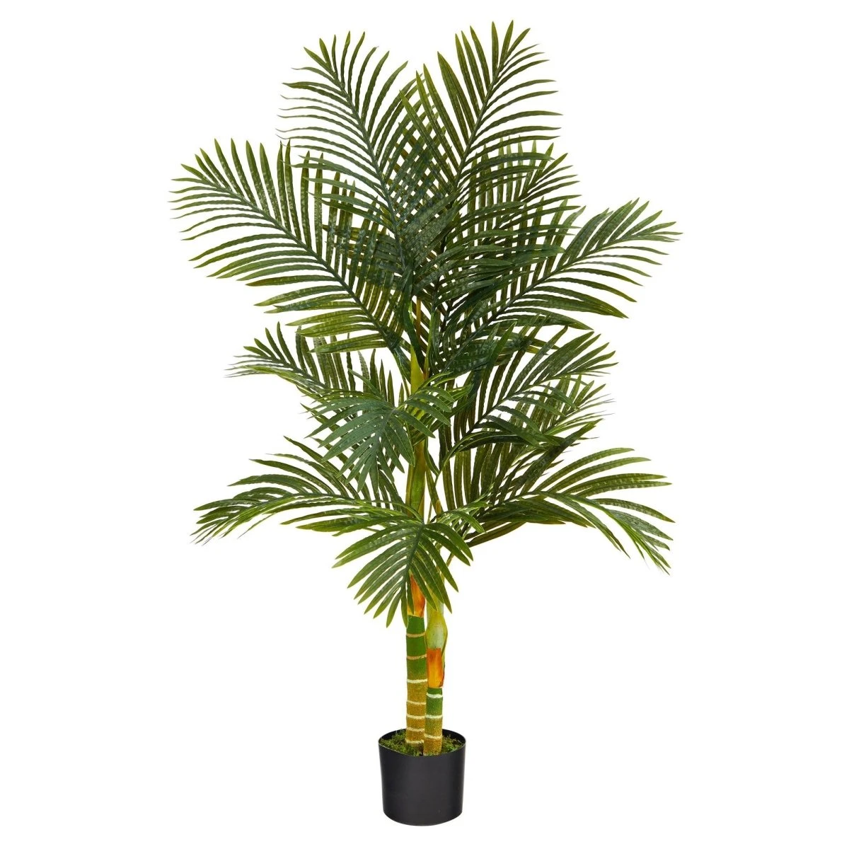 5-ft Golden Cane Artificial Palm Tree - Bring Paradise Indoors 9 5-ft Golden Cane Artificial Palm Tree - Bring Paradise Indoors - Image 7