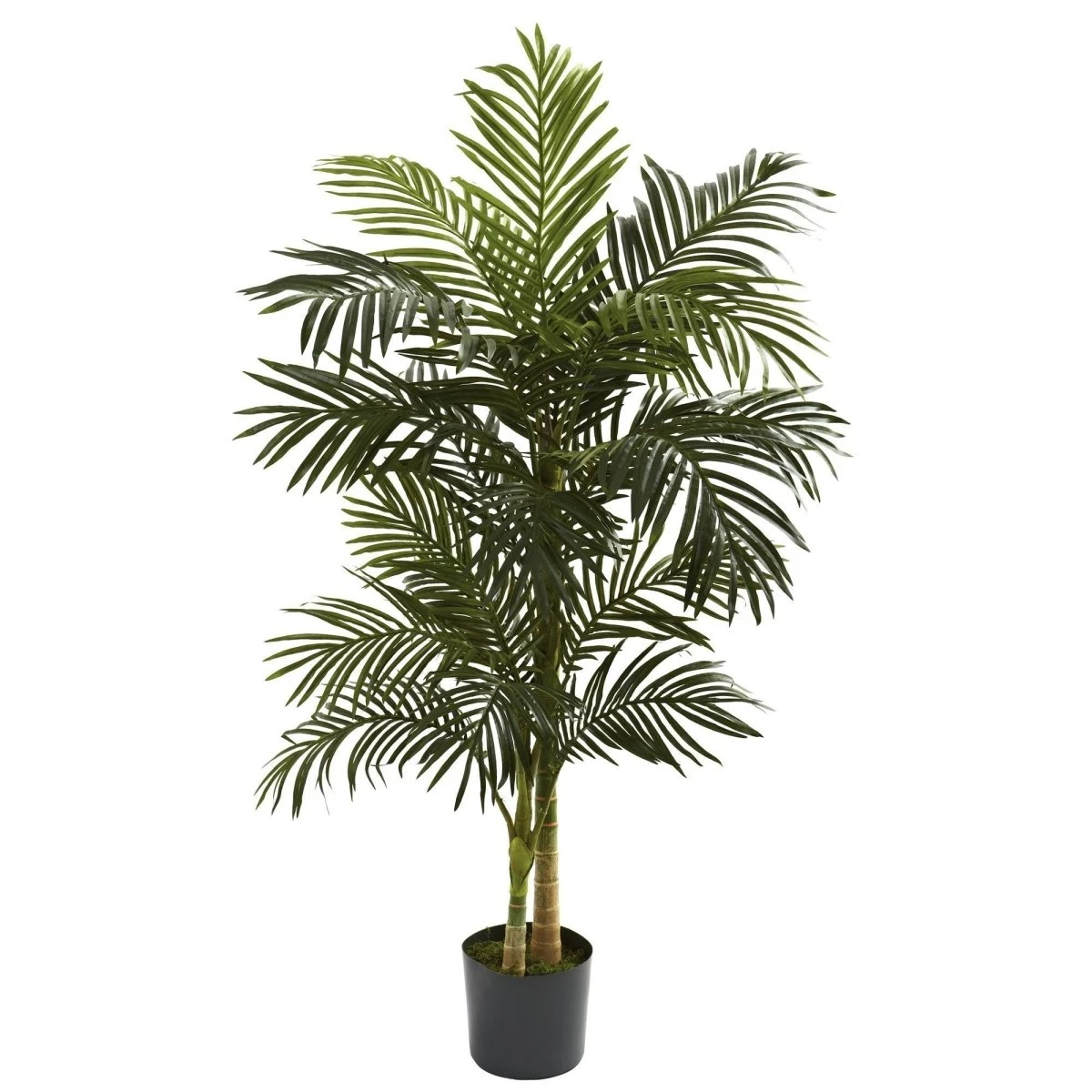 5-ft Golden Cane Palm Tree – Realistic Tropical Artificial Plant 3 5-ft Golden Cane Palm Tree – Realistic Tropical Artificial Plant