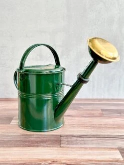 5 Liter- PLINT Watering Can- With Removable Sprinkler Head -Ed's plant shop 5 liter plint watering can with removable sprinkler head 346207