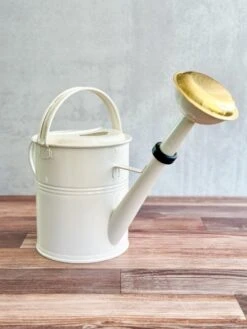 5 Liter- PLINT Watering Can- With Removable Sprinkler Head -Ed's plant shop 5 liter plint watering can with removable sprinkler head 971022