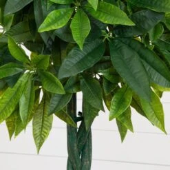 5.5-ft Artificial Money Tree In Gray Cylinder Planter (Real Touch) -Ed's plant shop 55 artificial money tree in gray cylinder planter real touch 575611