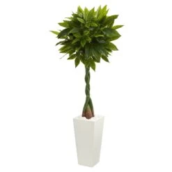 5.5-ft Artificial Money Tree In White Tower Planter
