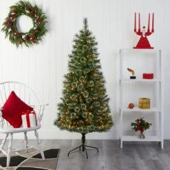 6-ft Wisconsin Slim Snow Tip Pine Tree – Compact Elegance For Holiday Cheer -Ed's plant shop 6 wisconsin slim snow tip pine tree compact elegance for holiday cheer 146403